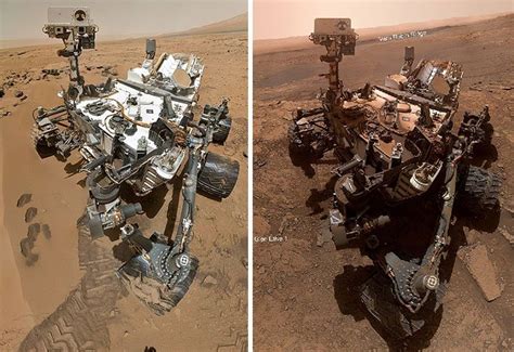 mega curiosity|Mega Curiosity .